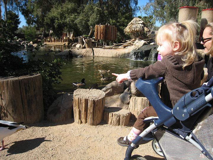 2nd Birthday at the zoo 02.JPG